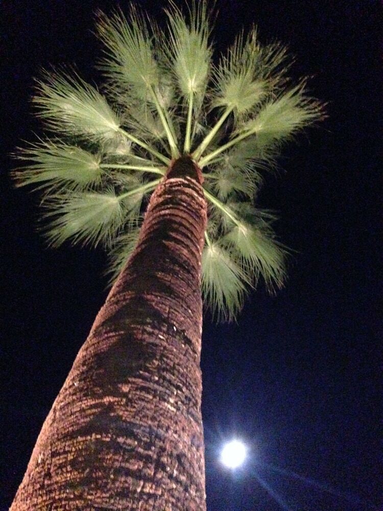Beverly Laurel Motor