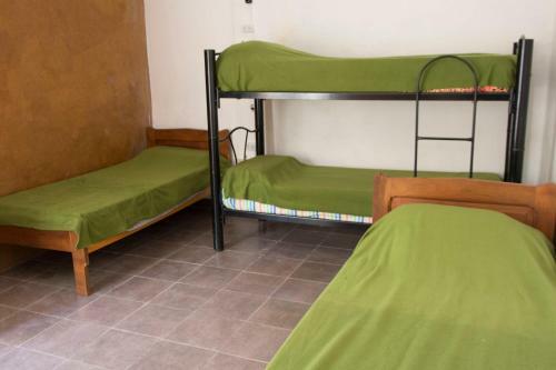 Hostel Casa Arbol