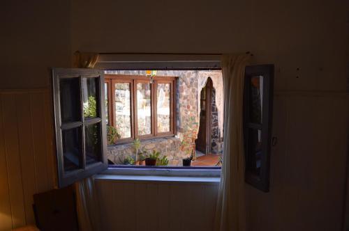 Hostel Casa Arbol