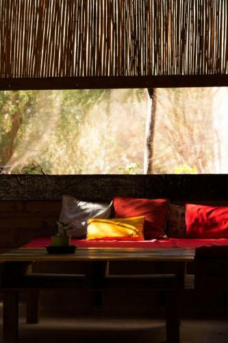 Hostel Casa Arbol