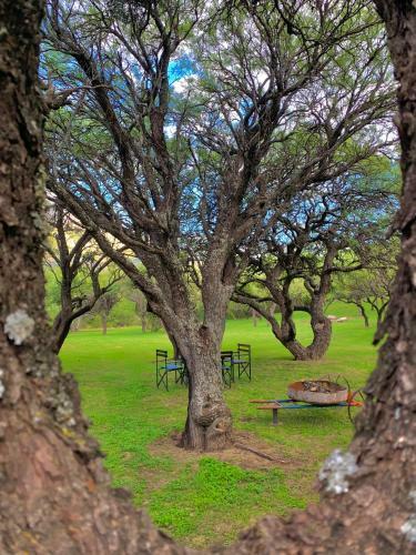 Agroturismo Caba�as San Miguel