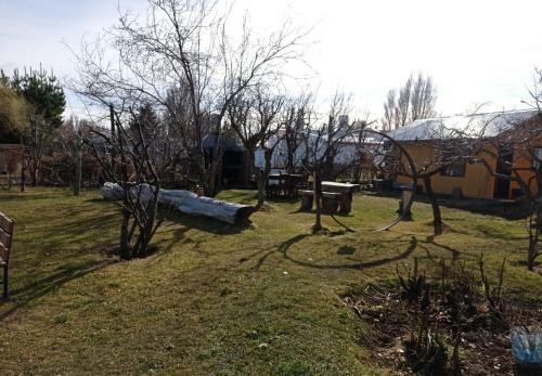 Calafate Viejo Hostel