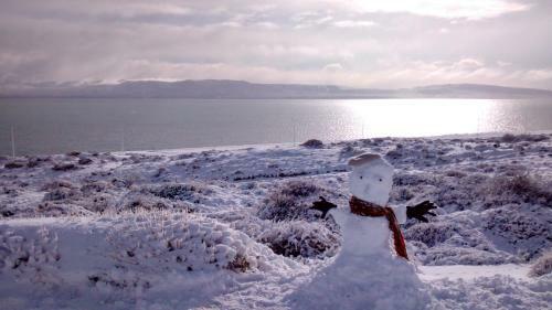 Calafate Viejo Hostel