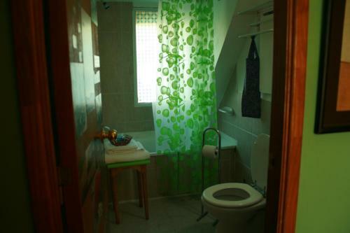 Renting Calafate