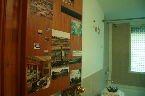 Renting Calafate