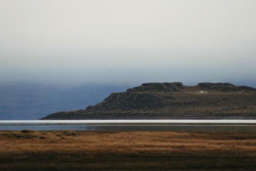 Renting Calafate