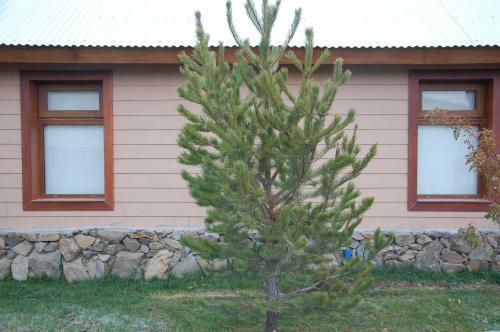 Lodge Caba�as Rivendel