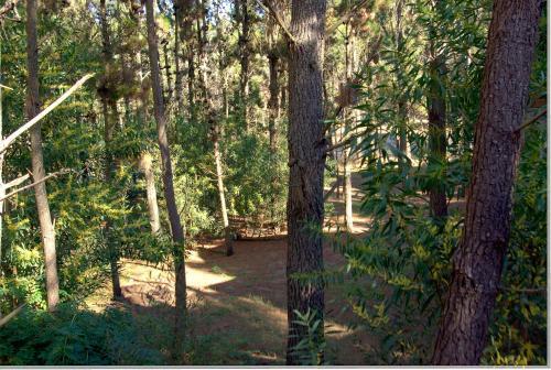 Lodge Abvai