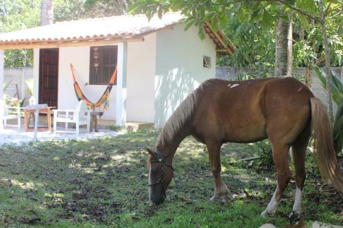 Rosa Dos Ventos Residence