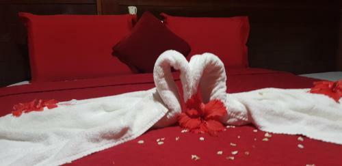 Hostal Pousada Capim A�u