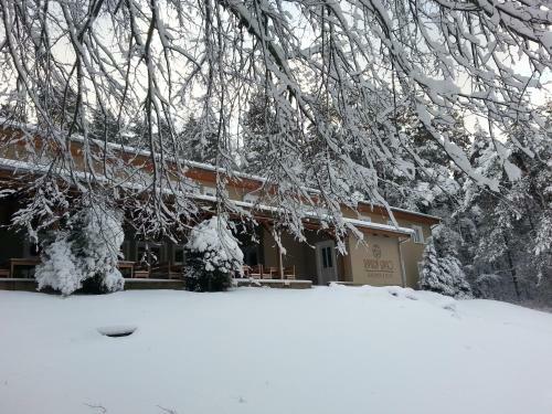 Hotel Lipno