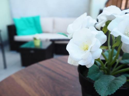 Hostal Penzion Valtice