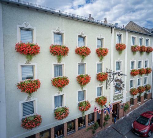 Hostal Hotel - Gasthaus Rose