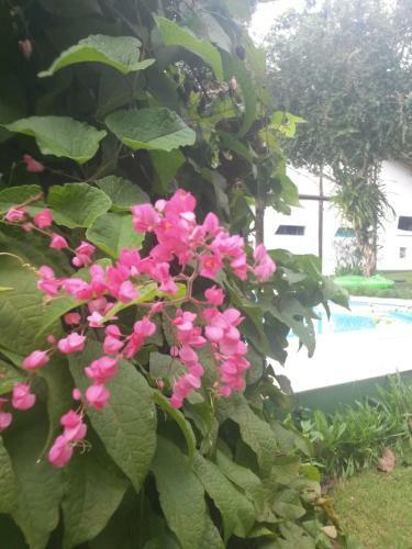 Hostal Pousada Mar � Vista