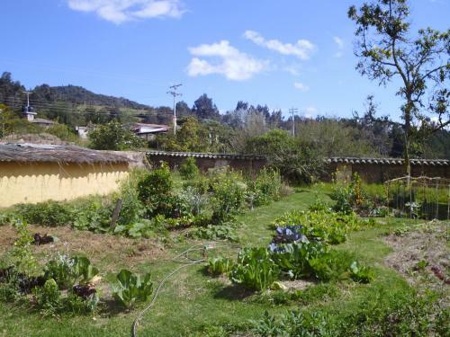 Hotel La Juanita Finca Verde