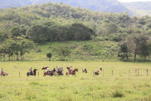 Viviendas Turisticas Hacienda Las Margaritas