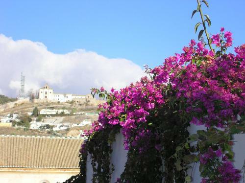 Apartamento Holiday Home Casa Del Albayz�n