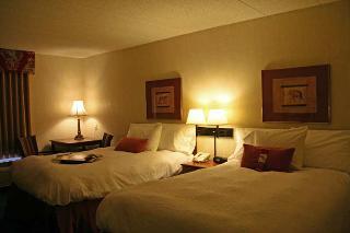 Hotel Hampton Inn & Suites Kokomo