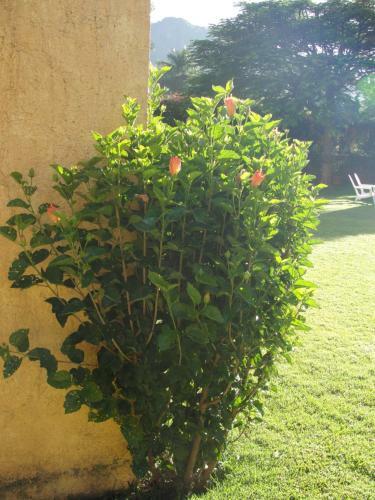 Las Casitas Tepoztl�n