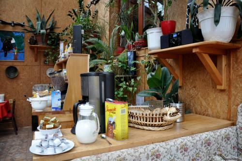 Hostal Pension Nika