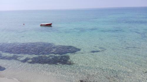 Apartamento Tra Il Verde E Il Mare