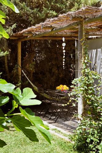 Hotel Bungalows Puravida