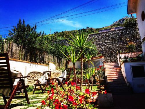 Bed & Breakfast Mediterraneo Guest House