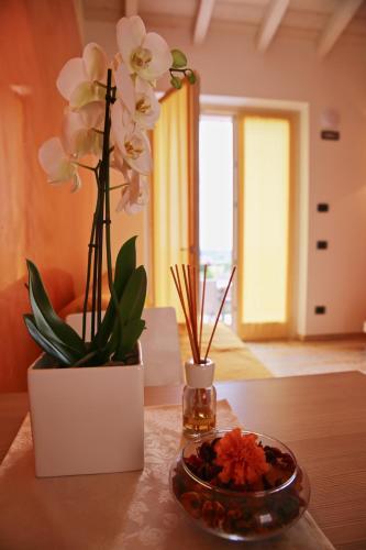 B&B La Cipressina