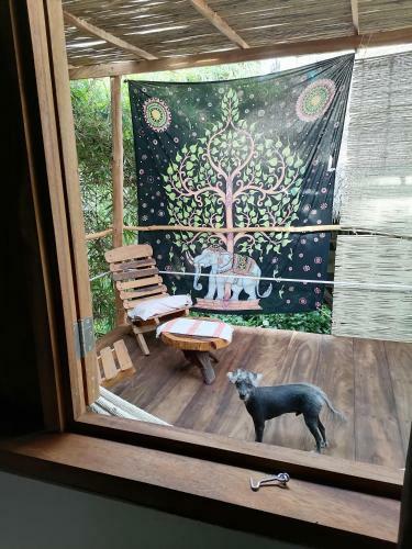 Hostal Castillo Oasis