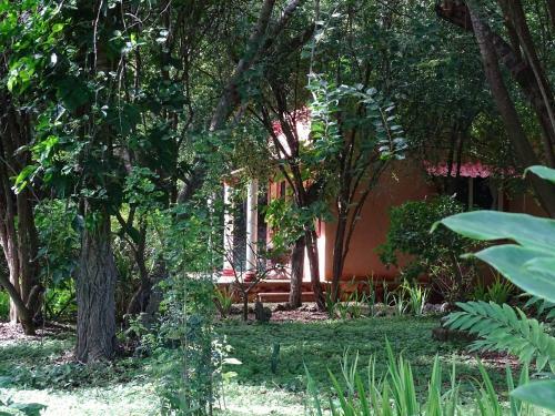Bed & Breakfast The Flycatcher Inn Boutique Hotel