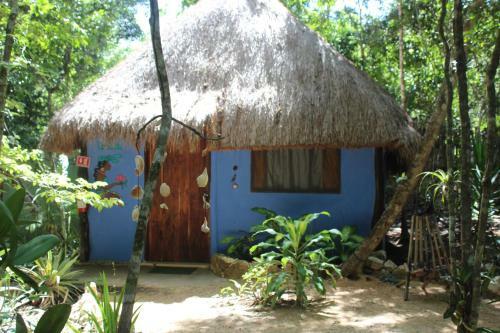 Bed & Breakfast Casa Selva Orquideas