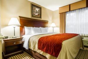Hotel Comfort Inn & Suites Scarborough