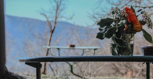 Agroturismo Cortijo Catifalarga Alpujarra