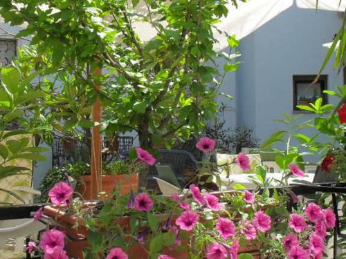 Hotel Albergo Ristorante Olimpia
