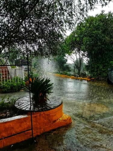 Agroturismo El Antiguo Molino