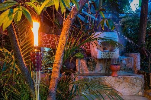 Hotel Maison Tulum