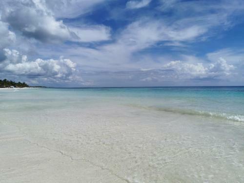 Apartamento Playa Selva