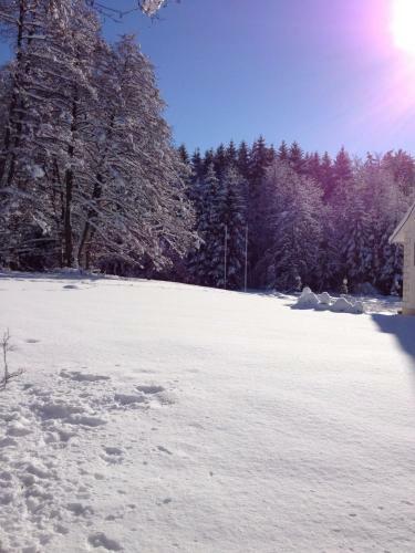 Apartamento Goldschmiedsm�hle