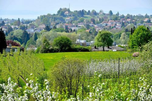 Hotel Montfort-schl�ssle