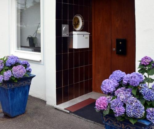Hostal Hotel Ebnet Garni