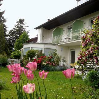 Hostal Hotel Ebnet Garni