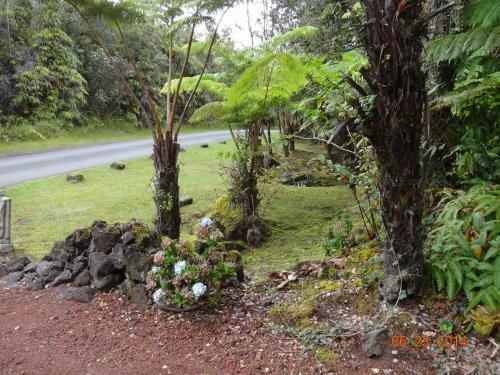Hostal Alii Kane Cottage With Loft