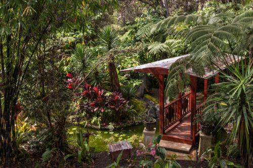 Lodge Chalet Kilauea Collection