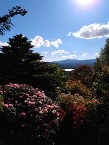 The Lakes B&B