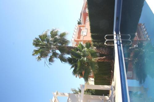 Villa Palmera