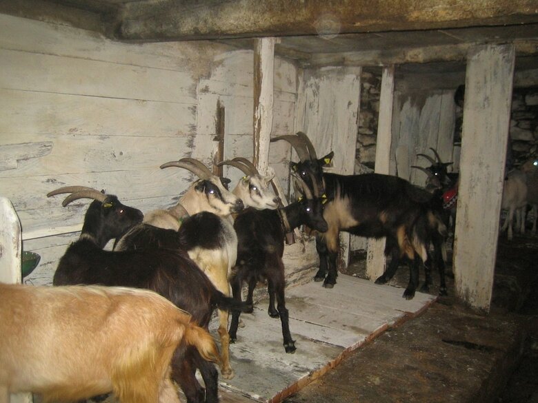 Agroturismo Agriturismo Alagna