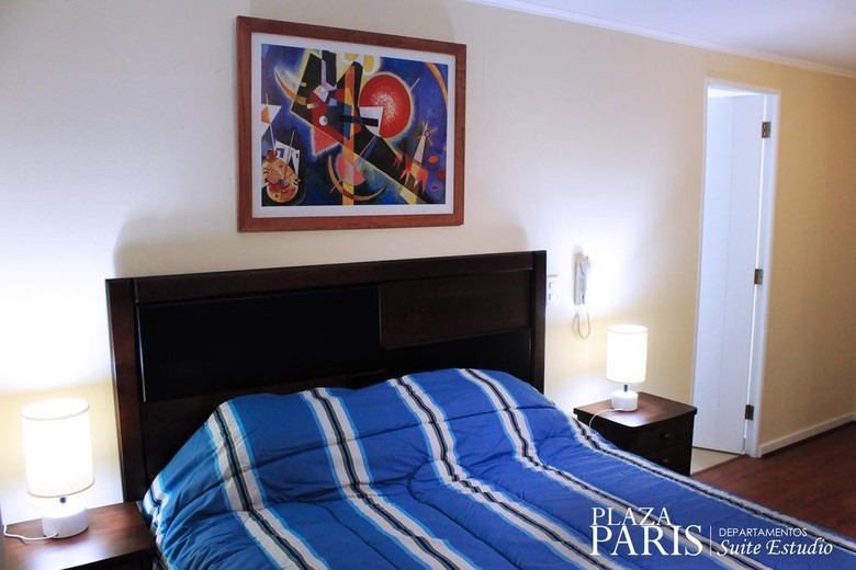 Hotel Plaza Paris Amistar