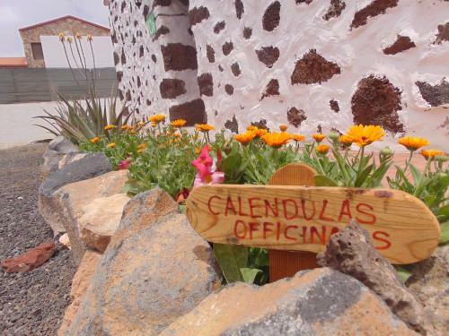 Agroturismo Casa Rural Soleario