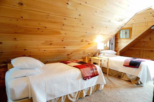 Motel Moose Creek Cabins