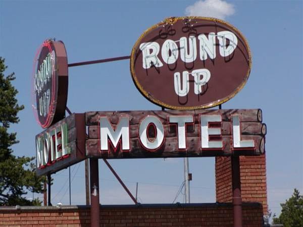 Motel Dude & Roundup
